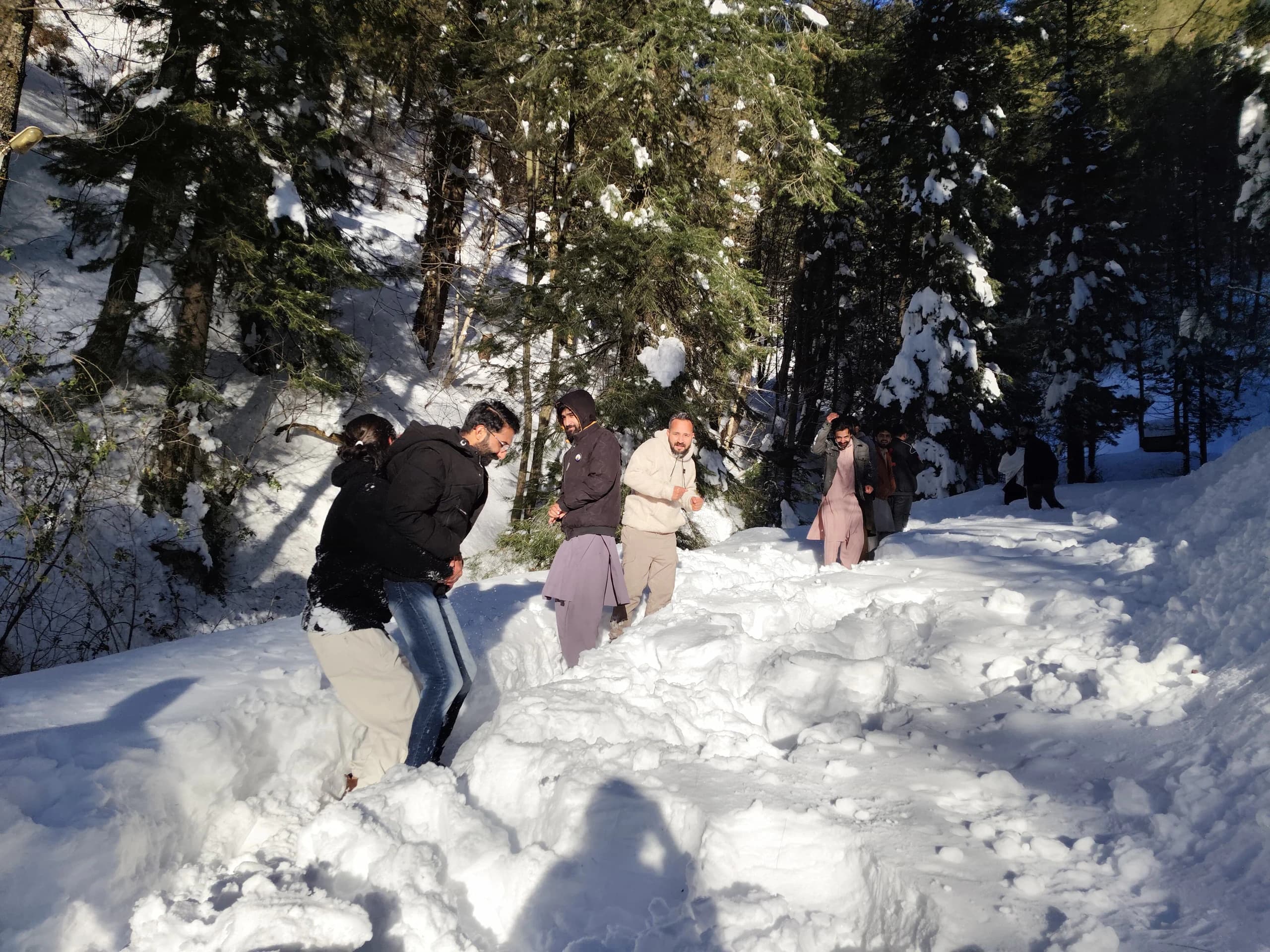 Snow fight