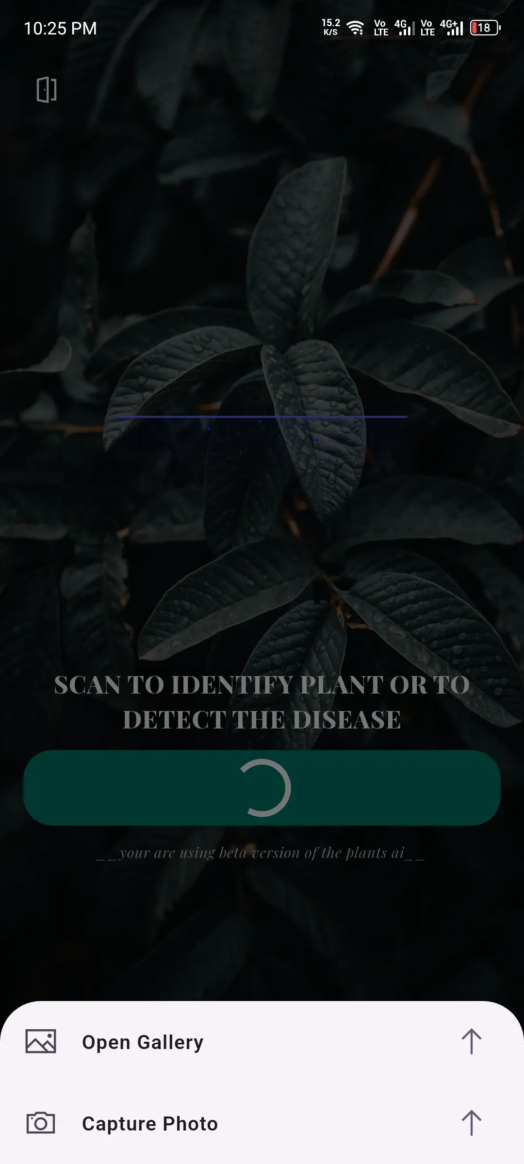 AI Plant Identify