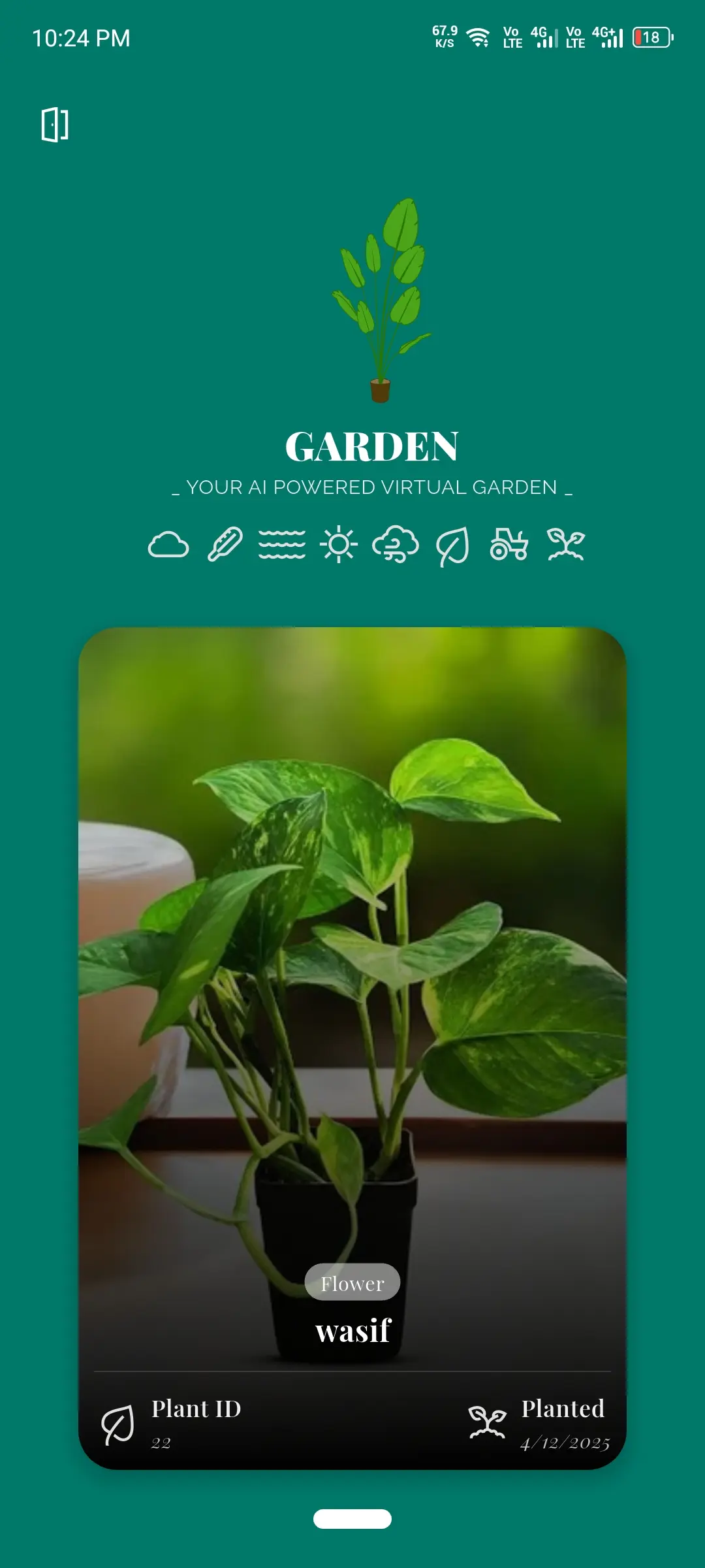 Virtual Garden