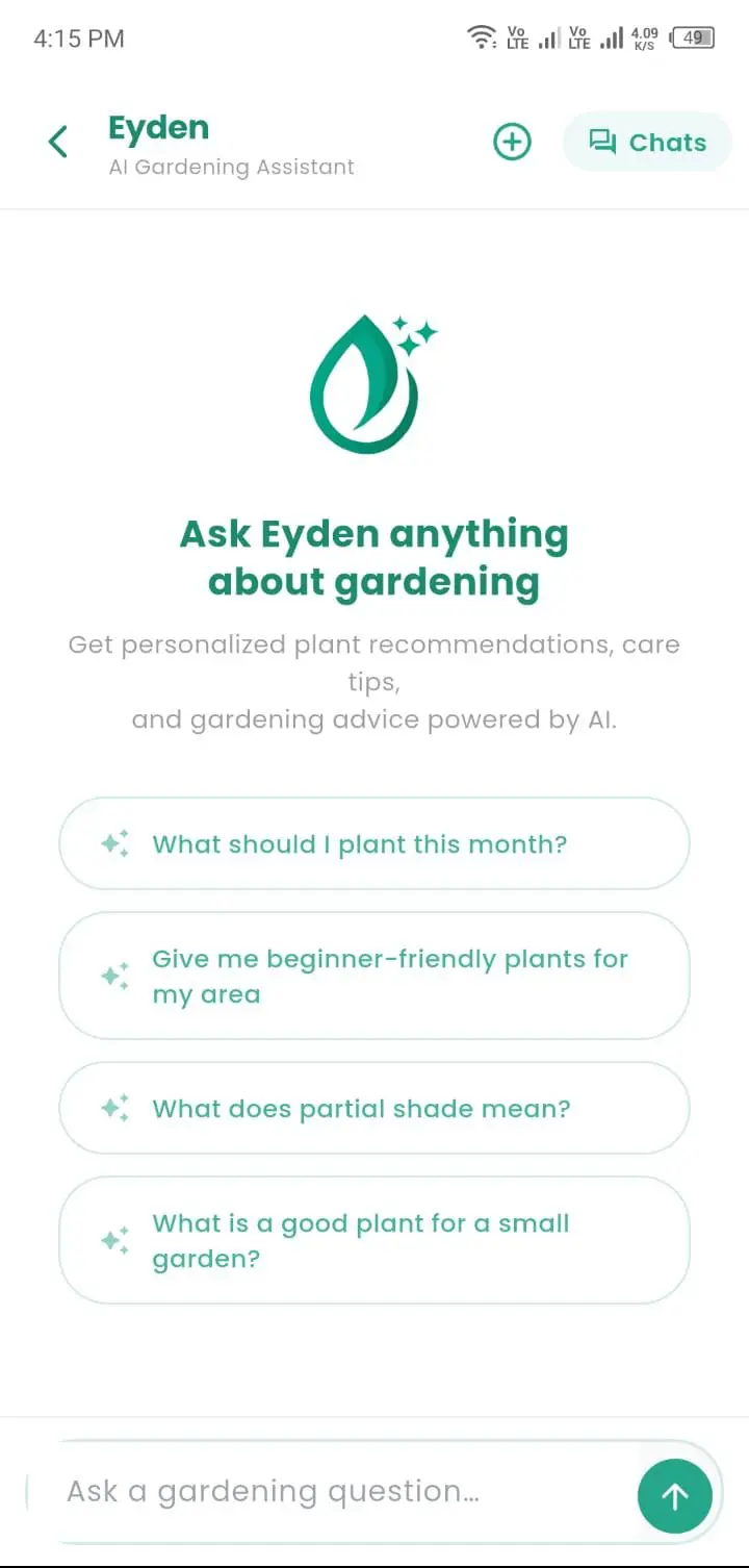 AI Assistant