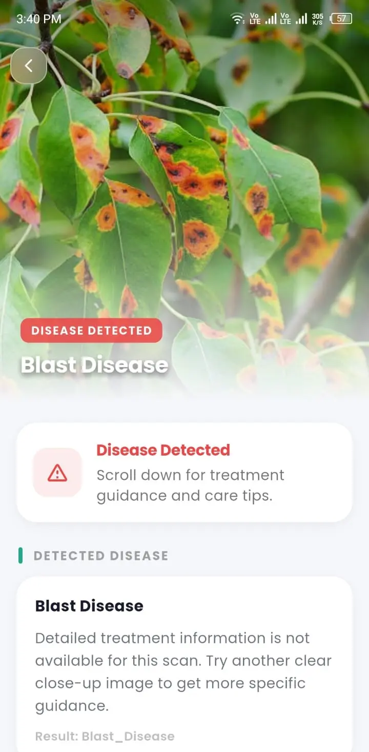 Diagnosis Result