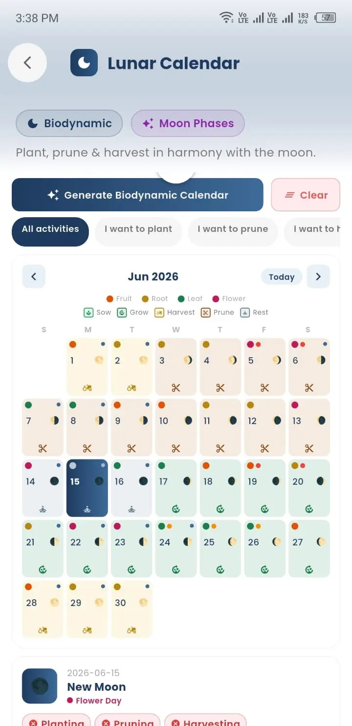 Lunar Calendar