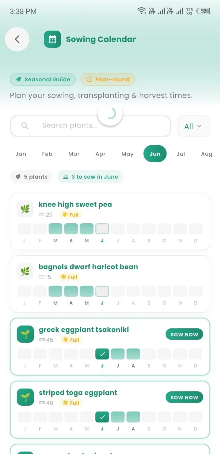 Sowing Calendar